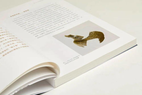 一本書讀懂中國(guó)瓷器3000年 輝煌歷程與文化意蘊(yùn)