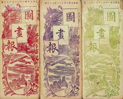 《圖畫報(bào)》存十二期 見(jiàn)證中國(guó)書店二〇〇九年春季書刊資料拍賣會(huì)